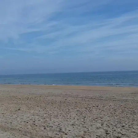 公寓 Cap D'agde - Bel 4 Pers Avec Piscine *