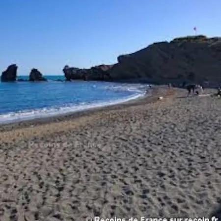 公寓 Cap D'agde - Bel 4 Pers Avec Piscine *